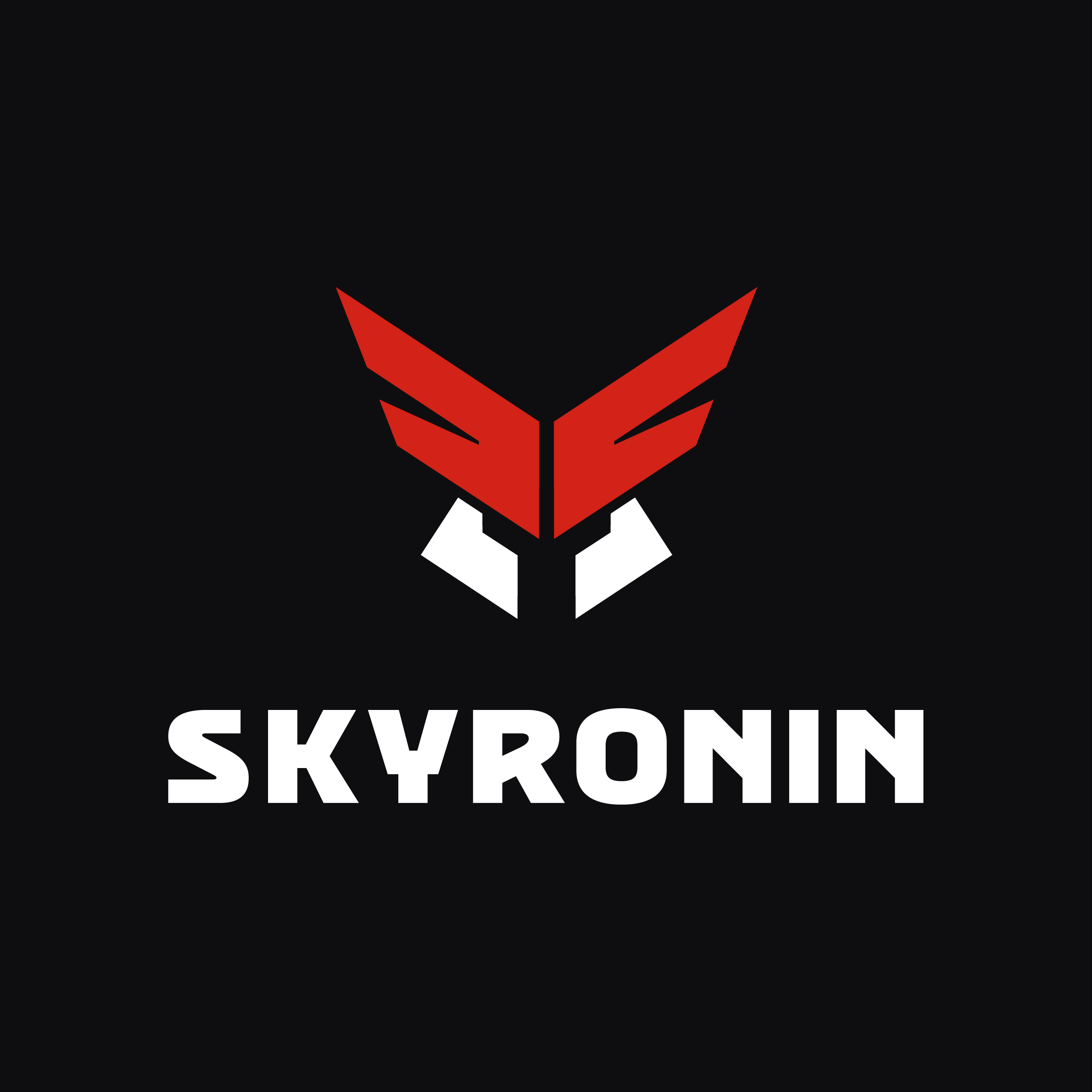 SkyRonin